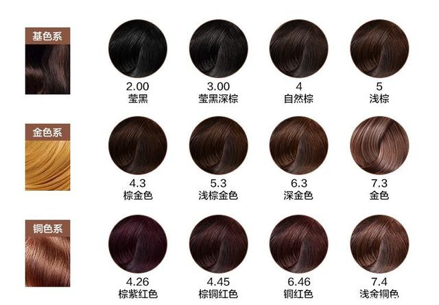 福建高招咨询会25日全面启动