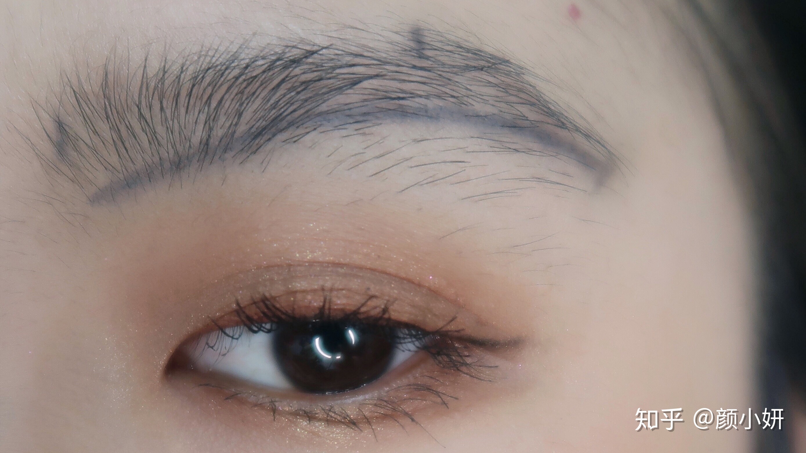 银发未改报国志 今朝接力向新程