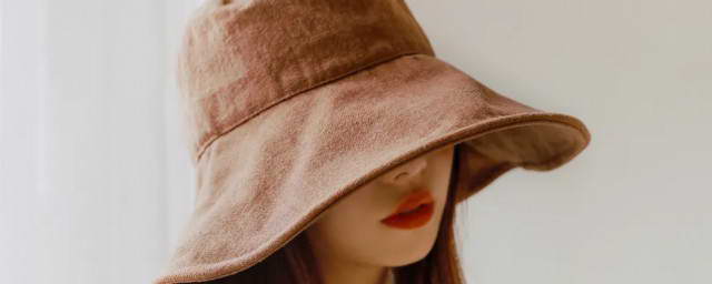 160万亩林地释放“绿色生产力”  张家口市林下经济年产值突破3.15亿元