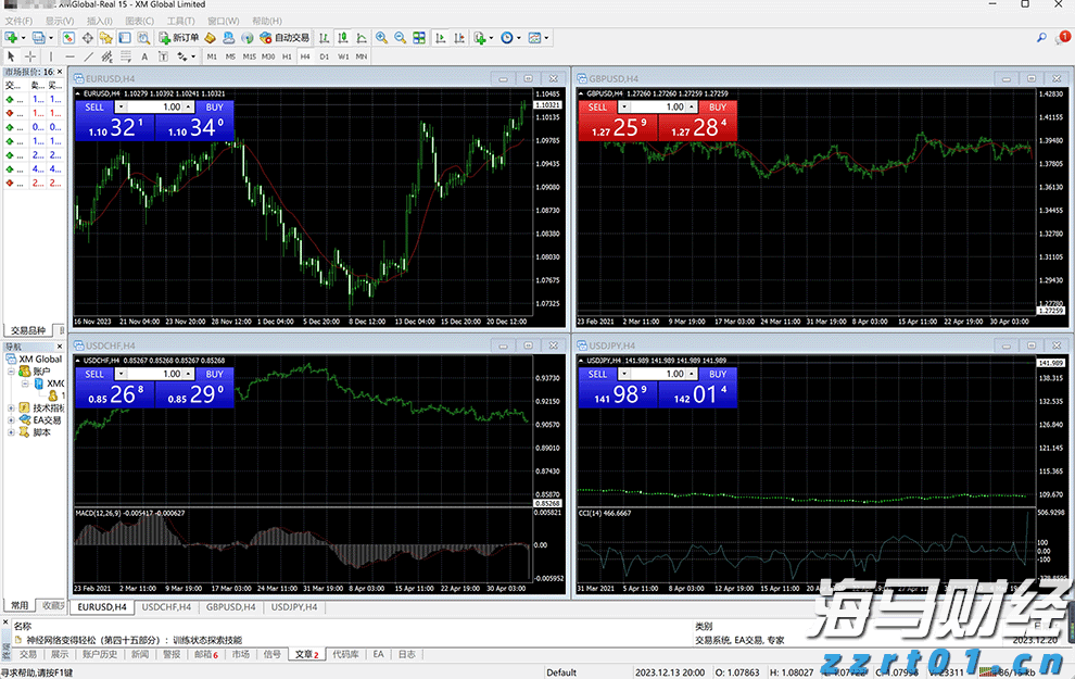 霞山区“红树林保护协作探索工作室”正式揭牌