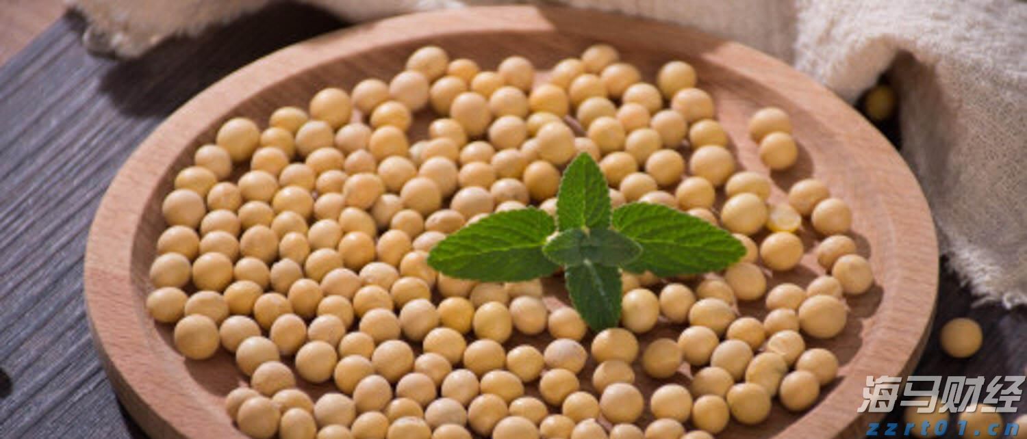 医我看丨技术人才双输出！中山五院携手多家中亚医疗机构打造“健康丝路”