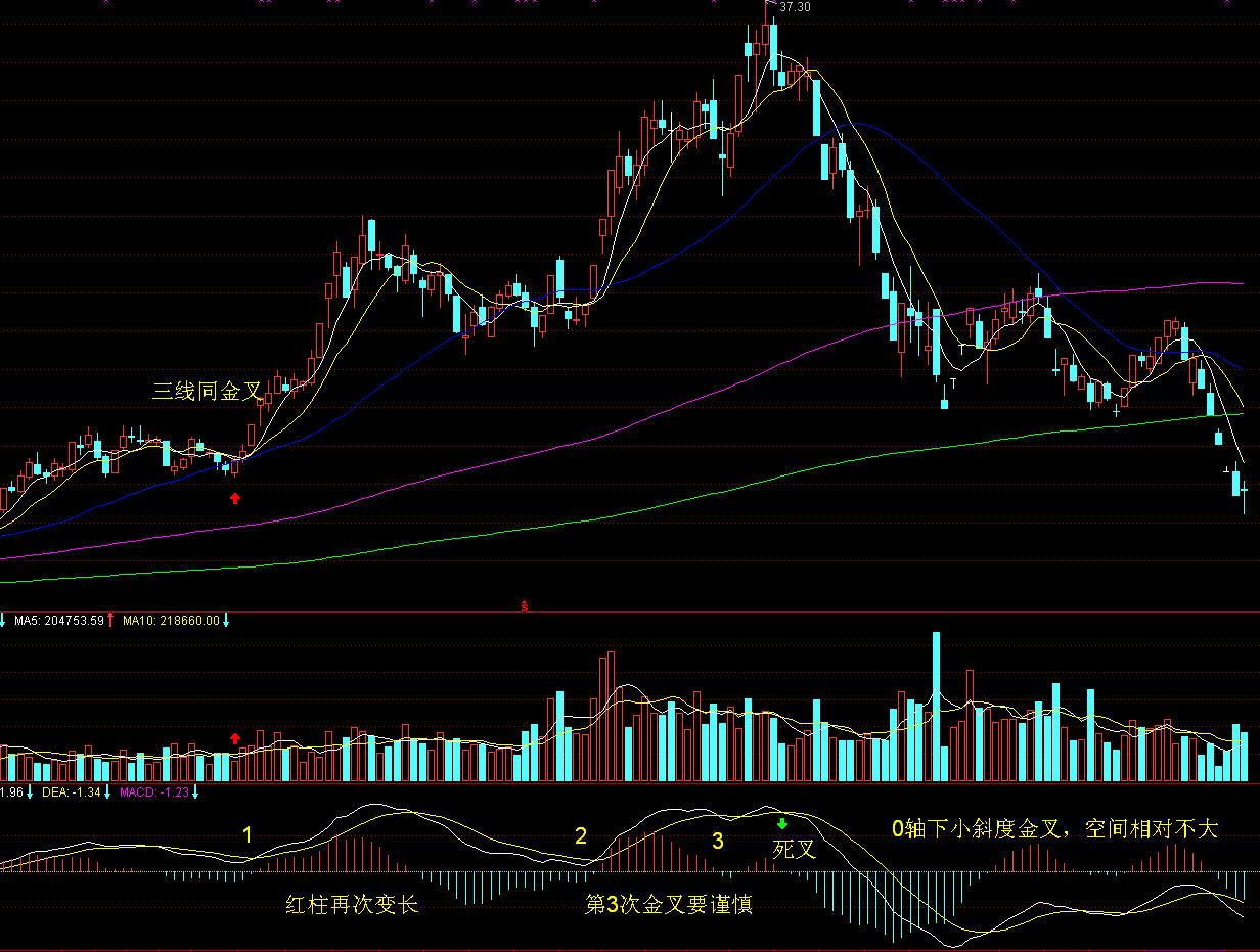 致灾风险极高!汕尾局部将有特大暴雨,气象部门发布防御提醒