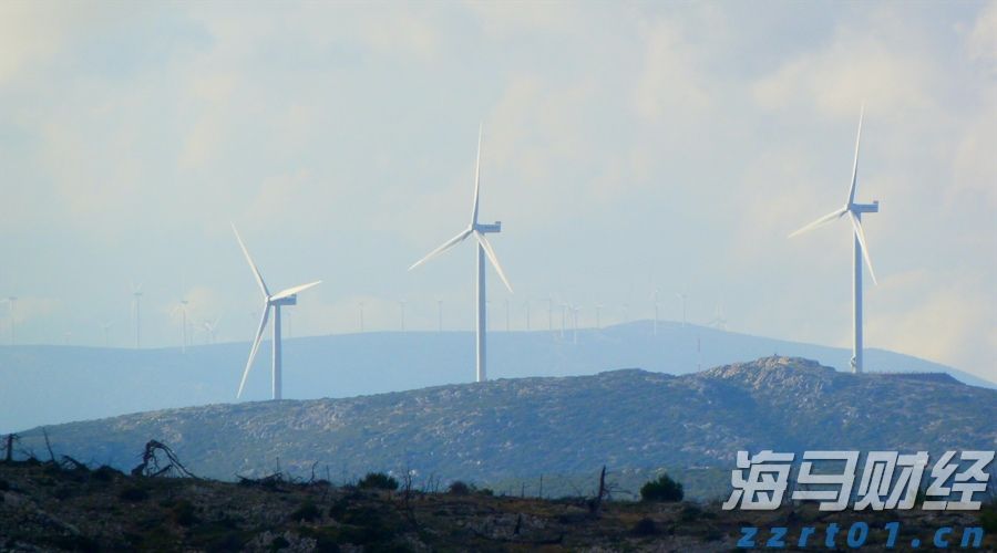 桂平:科技技能培训赋能特色产业发展