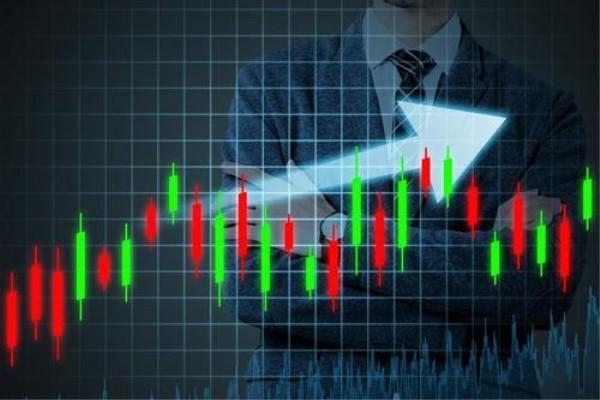 我市举办“荷商大讲堂”第五期活动