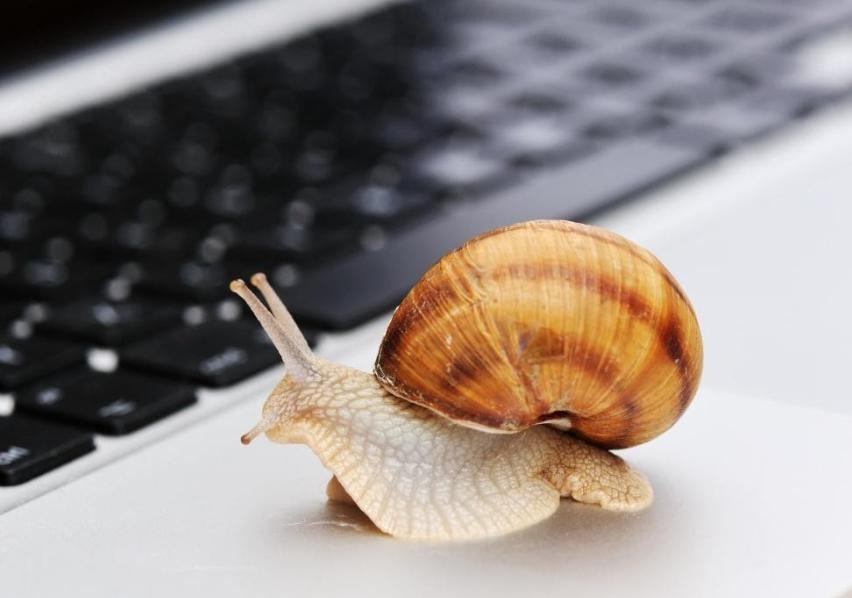 我市高标准农田项目建设获超长期特别国债资金支持